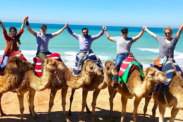 The Best of Tangier: Luxury 4-Hour Private Experience