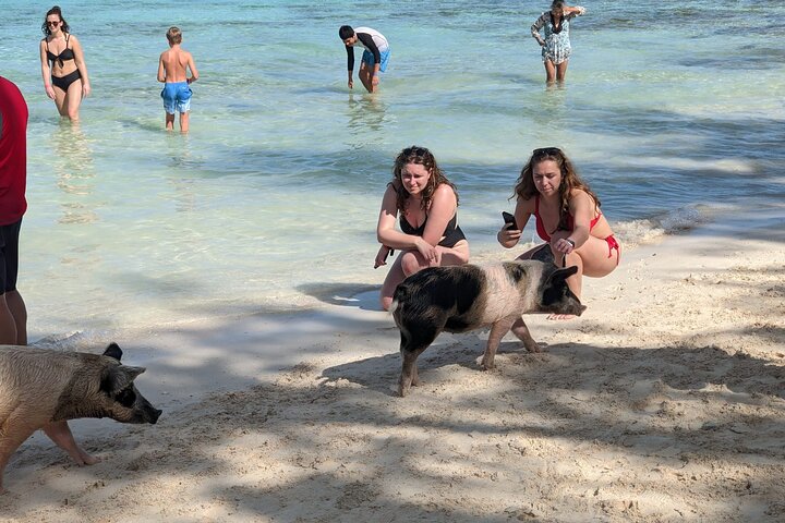 Nassau 3-stops: Snorkeling, Swimming Pigs, Turtles & Lunch