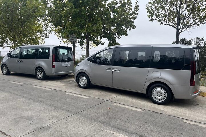 Private Transfer Viña del Mar to Santiago Airport