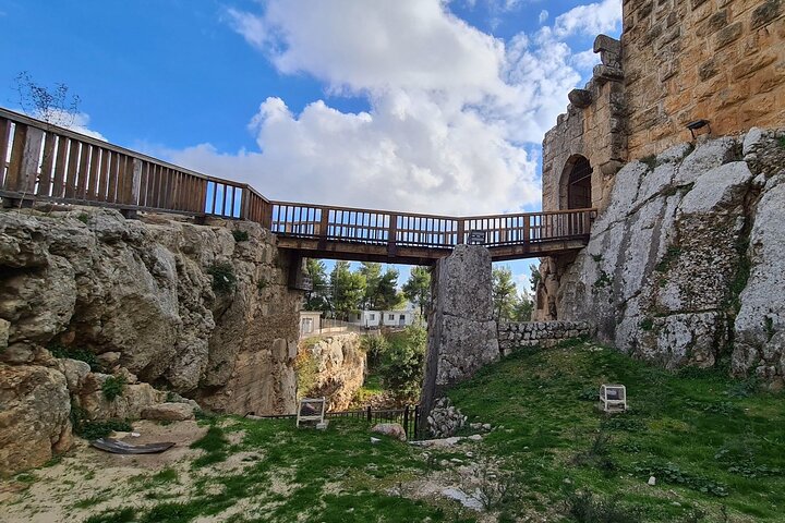 Day Tour to Jerash and Ajloun Castle From The Dead Sea