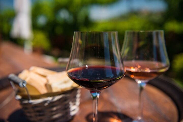 From Verona: Half-Day Valpolicella & Amarone Wine Experience