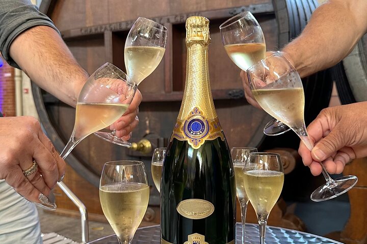 Champagne Day Trip from Reims including 9 Champagne Tastings