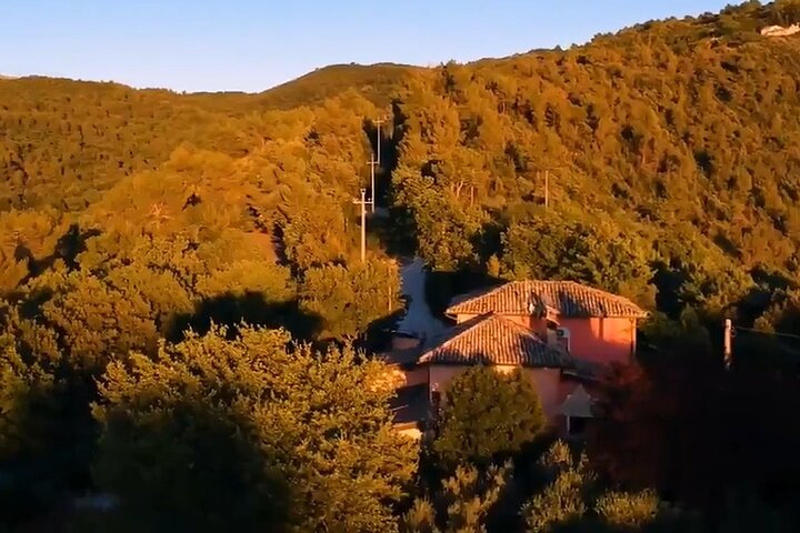 Spoleto Countryside Home Cooking Pasta or Pizza Class & wine