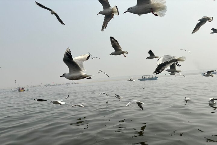 Varanasi full day guided tour | Ranked 1 Tour Operator on Viator
