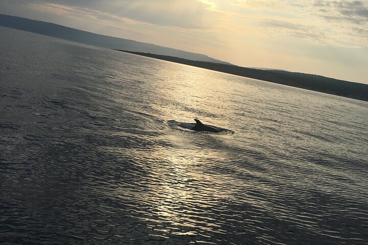 PUBLIC 3,5h Swimming and Snorkeling on the Wild Bays
