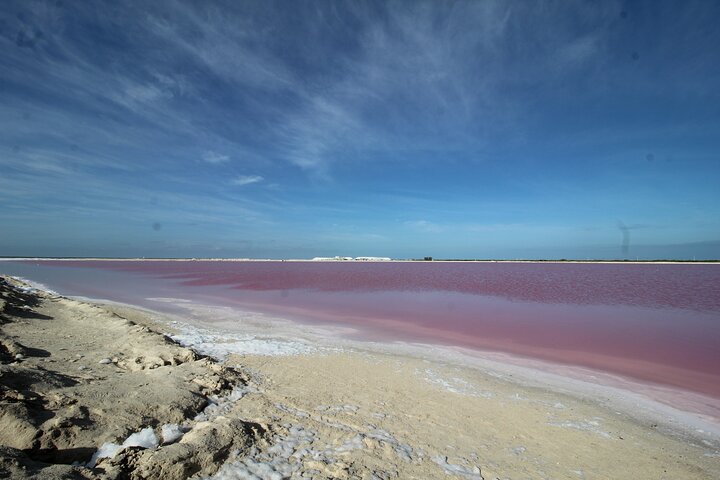Rio Lagartos+Coloradas Tourist Collective (Lake Rosa)+Cenote