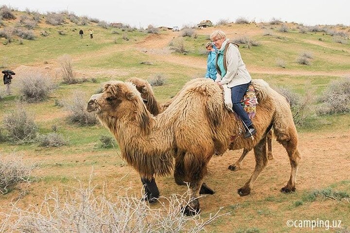 2 Days of Tour in Yurt Camp and Aydarkul All-Inclusive