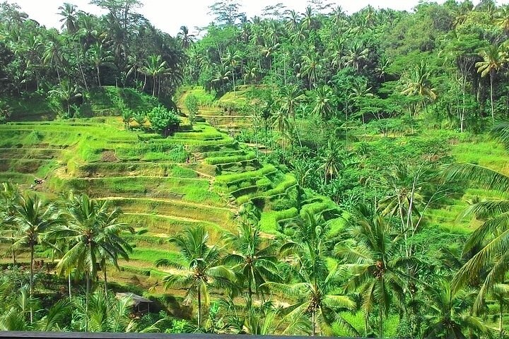 Bali Shore Excursion from Benoa Port – All-Inclusive Private Tour