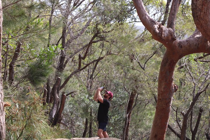 Newcastle to Port Stephens: Whale Watching, Hike & Dunes
