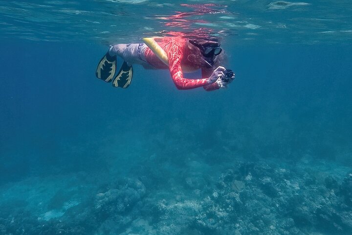 Aquanauts Outing Boat Hiking Palmée Coral Discovery