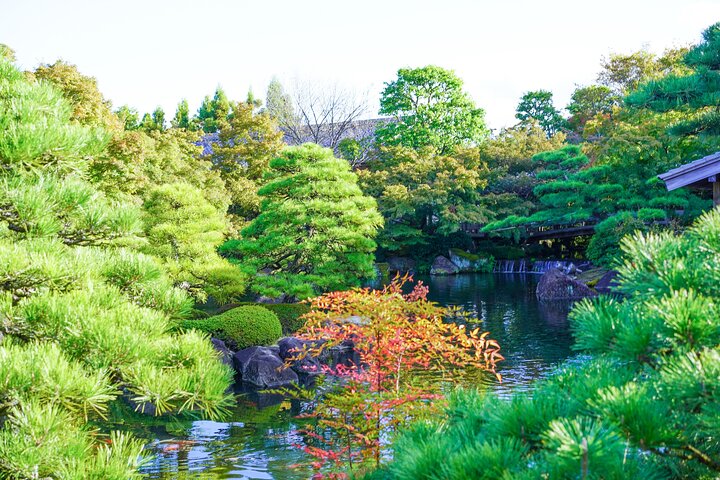 Himeji Castle Easy Bike Tour: Samurai History, Garden & Matcha