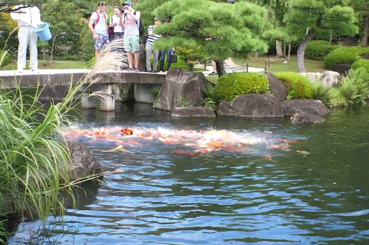Himeji Castle Easy Bike Tour: Samurai History, Garden & Matcha