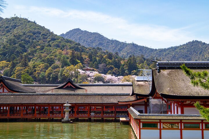 Hiroshima & Miyajima 1 Day Bus Tour with Bullet Train Tickets