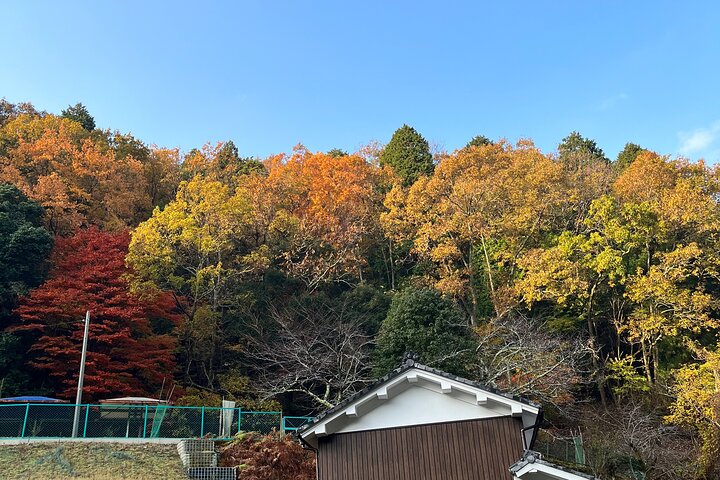 Artist Pottery and Cooking Class in the Old Streets of Mt. Hiei