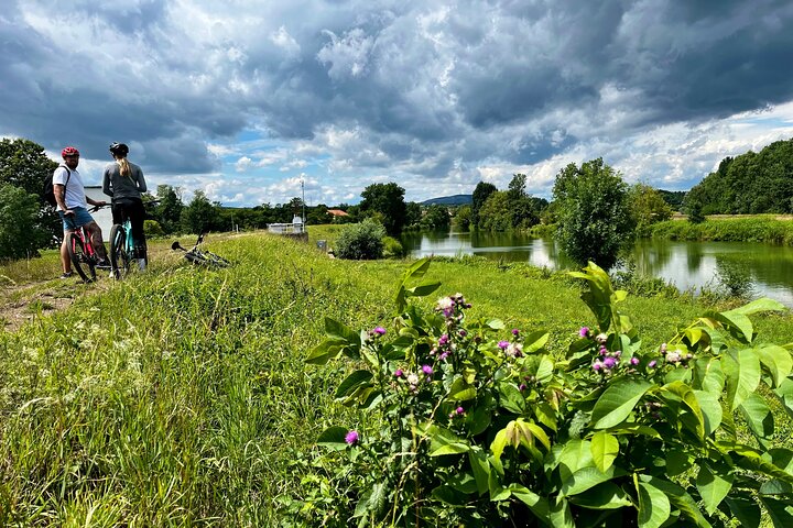 Moravian E-Bike & Wine Private Day Trip From Brno