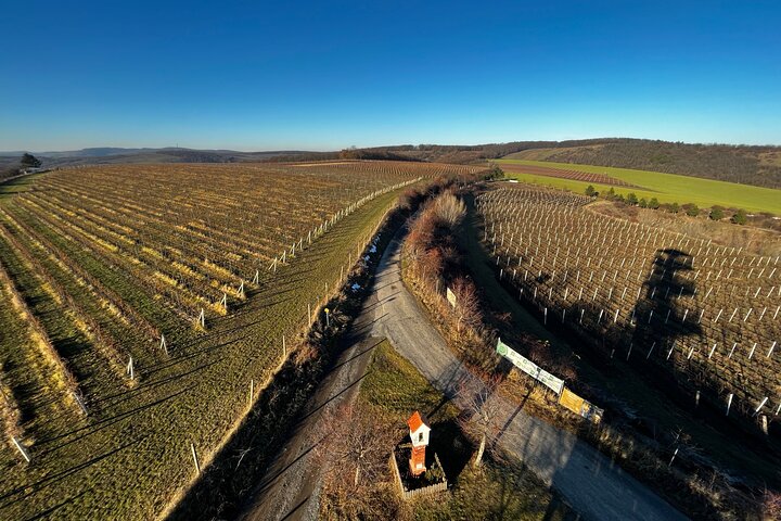 Moravian E-Bike & Wine Private Day Trip From Brno