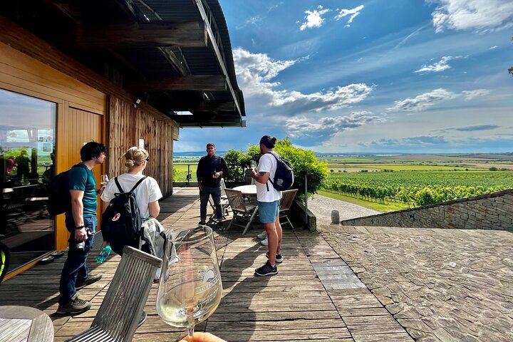 Moravian E-Bike & Wine Private Day Trip From Brno