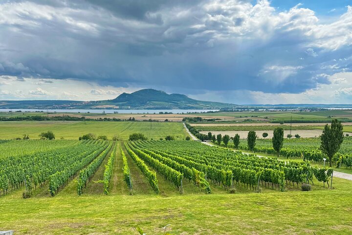 Moravian E-Bike & Wine Private Day Trip From Brno