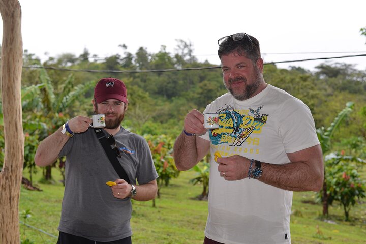 Sloth Watching , Coffee, Chocolate & waterfall Experience