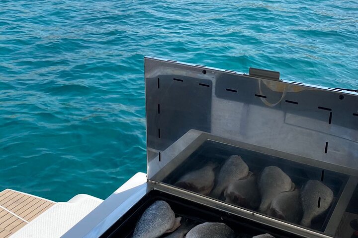 Visit of Marseille and Friuli Archipelago in Catamaran