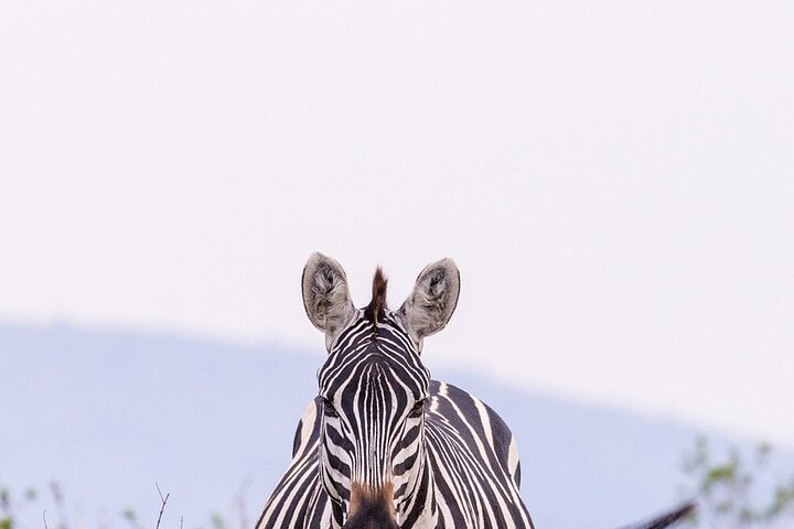 OVERNIGHT SAFARI TO TSAVO EAST NATIONAL PARK FROM MOMBASA orDIANI