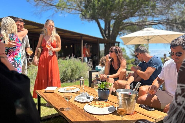 Stellenbosch Wine Tractor hop-on-hop off wine tasting tour