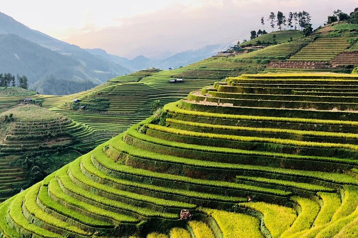 Private Full Day Tour in Sapa by Car