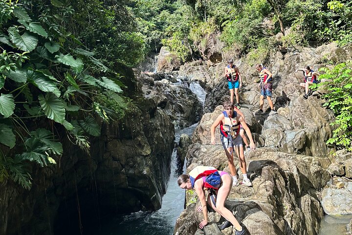 Immersive El Yunque Rainforest Adventure with Transportation