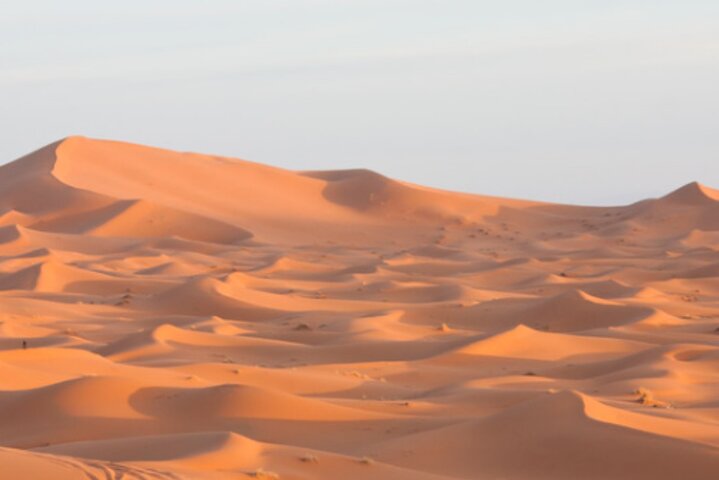 Exclusive Merzouga Desert Safari: Camel Ride, Sandsurf & Dinner