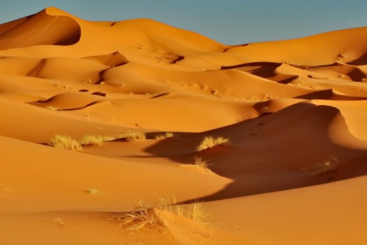 Exclusive Merzouga Desert Safari: Camel Ride, Sandsurf & Dinner