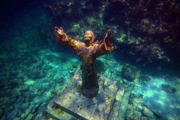 Half Day Private Tour to Islamorada Alligator Reef and Sandbar
