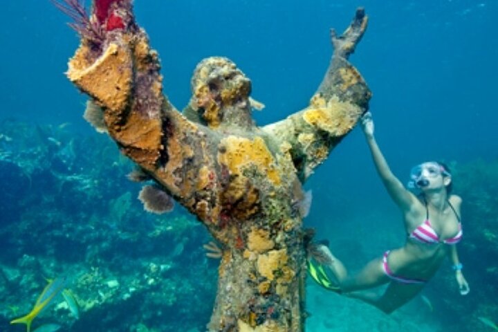 Half Day Private Tour to Islamorada Alligator Reef and Sandbar