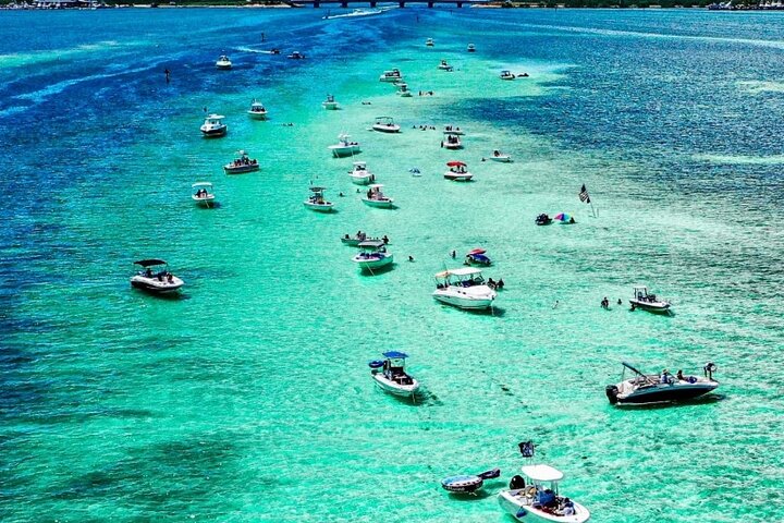 Half Day Private Tour to Islamorada Alligator Reef and Sandbar
