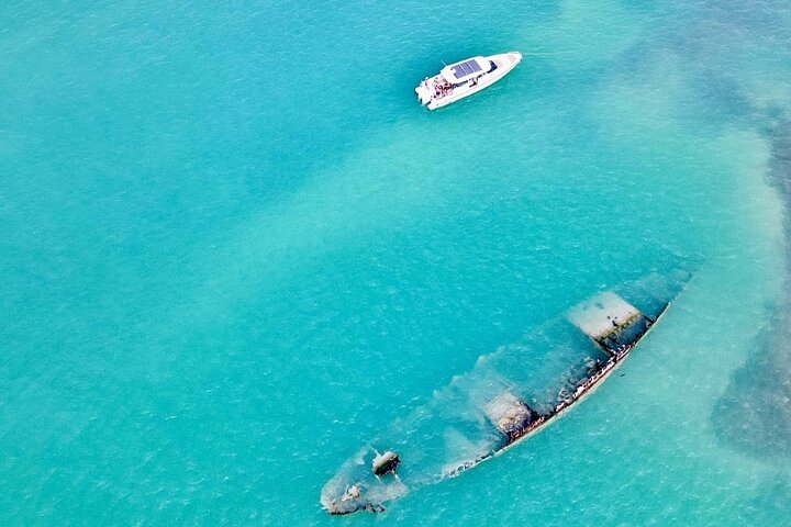 Half Day Private Tour to Islamorada Alligator Reef and Sandbar