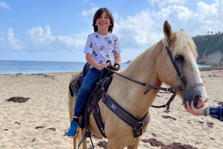 Horseback Ride by the Beach in Aguadilla, Puerto Rico