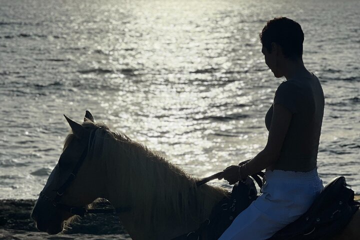 Horseback Ride by the Beach in Aguadilla, Puerto Rico