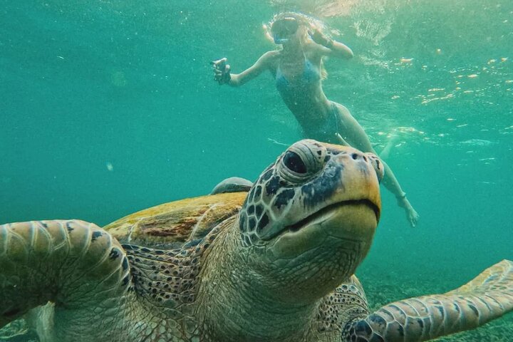 Ko Tao: Vintage Boat - Small Group Snorkeling Day Trip with Meals