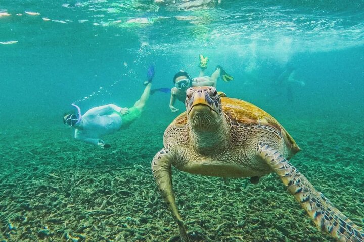 Ko Tao: Vintage Boat - Small Group Snorkeling Day Trip with Meals