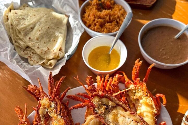Taco Tour Tijuana/Rosarito/craft beer/Puerto Nuevo lobster