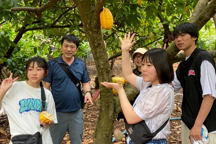 Full Day Experience to Farm and Chocolate (Set For 2 Guests)