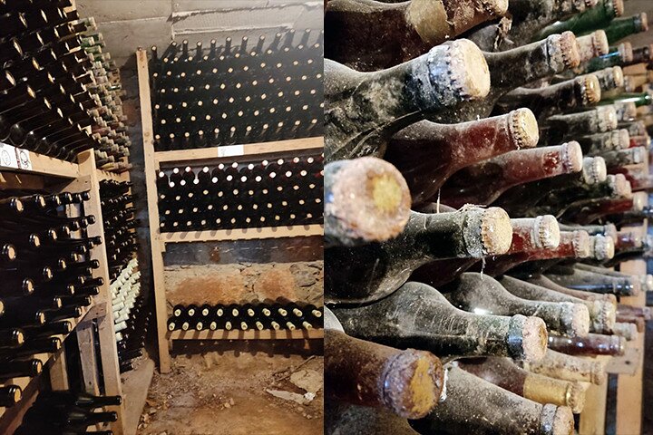 S&S Winery - Wine Tasting Experience in Ohrid