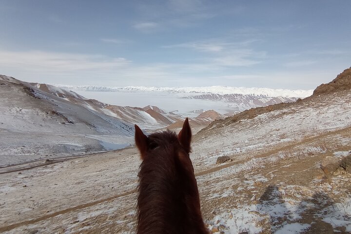 3 days horse back riding to Song-Kul lake whole year round