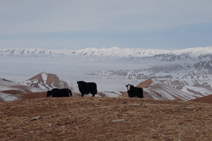 3 days horse back riding to Song-Kul lake whole year round