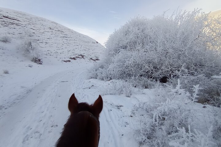 3 days horse back riding to Song-Kul lake whole year round