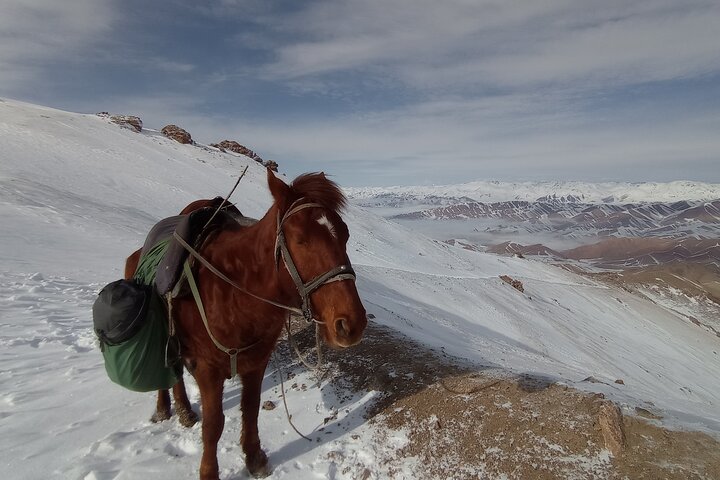 3 days horse back riding to Song-Kul lake whole year round