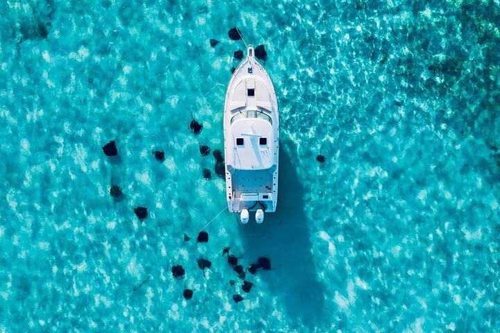 Cayman Private Luxury Charters - Stingray City, Snorkel, & More
