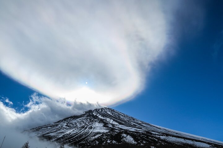 Mt. Fuji & Hakone Bus Tour Bullet Train Return & 28-Hotel Pick-up