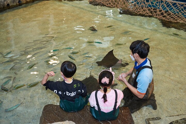 Discounted Entry Ticket for Gwanggyo Aqua Planet (내국인 불가)