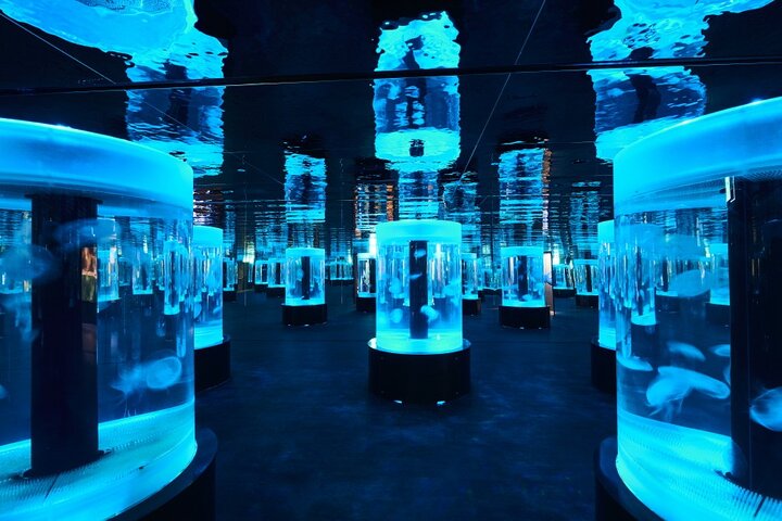 Discounted Entry Ticket for Gwanggyo Aqua Planet (내국인 불가)