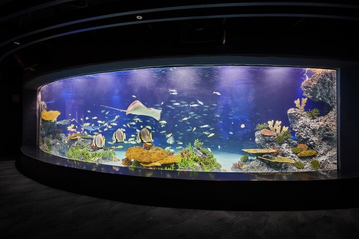 Discounted Entry Ticket for Gwanggyo Aqua Planet (내국인 불가)
